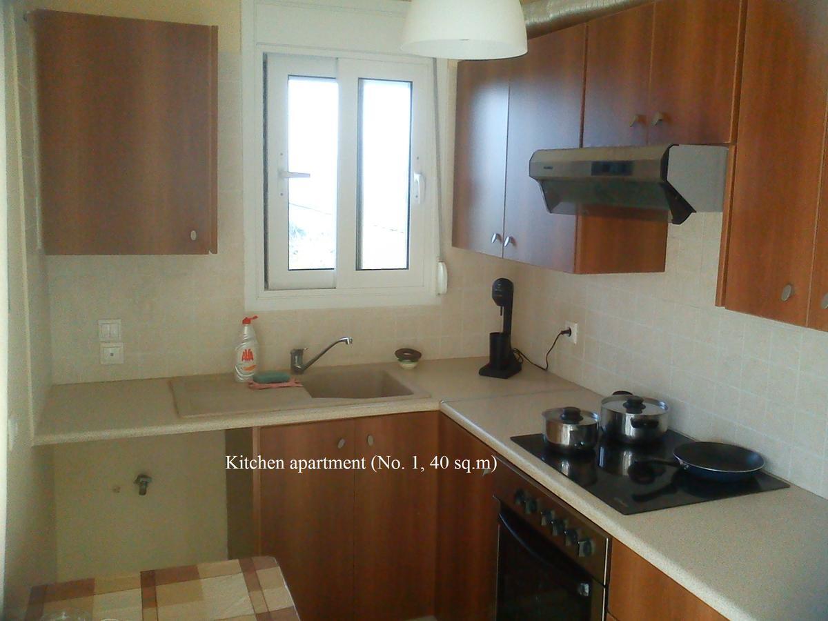 Panorama Hill Apartment Grammatiko Ngoại thất bức ảnh